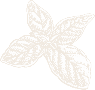 herb two
