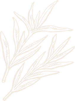 herb two